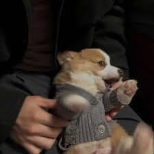 ชนาธิป สรงกระสินธ์ avatar